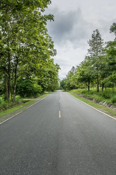 Asfalto Strada Campagna Con Linea Gialla — Foto Stock