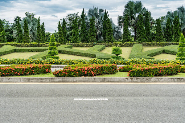 Pine trees and trimmed plants on slope of green grass with asphalt road in the park