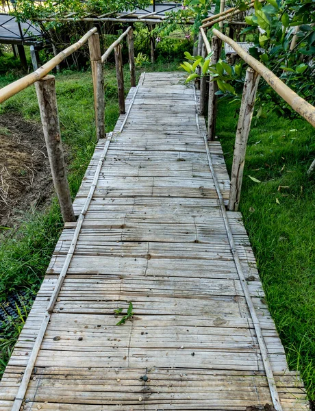 Bambus Fußweg Der Landschaft Thailands — Stockfoto