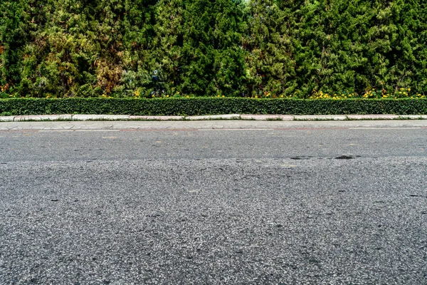緑のヘッジフェンスとアスファルト道路 — ストック写真