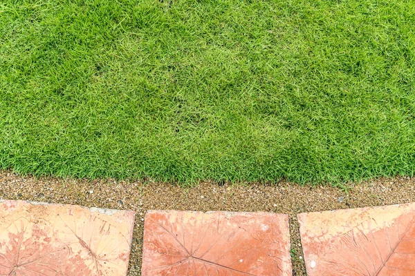 Jalur Beton Cokelat Dengan Rumput Hijau Taman — Stok Foto