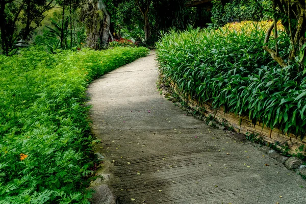 Chemin Bétonné Dans Parc — Photo