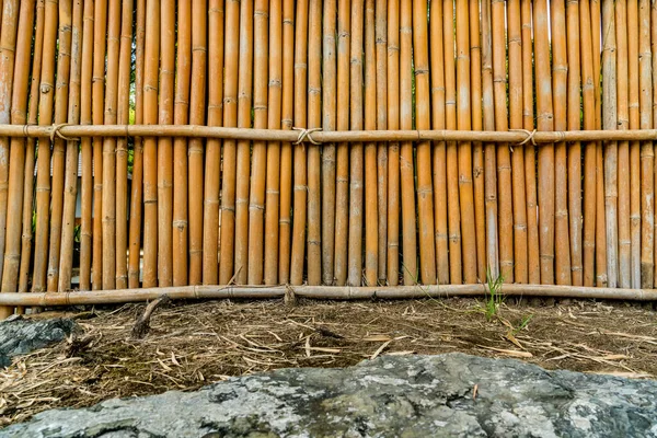 Imagem Textura Amarela Parede Bambu — Fotografia de Stock