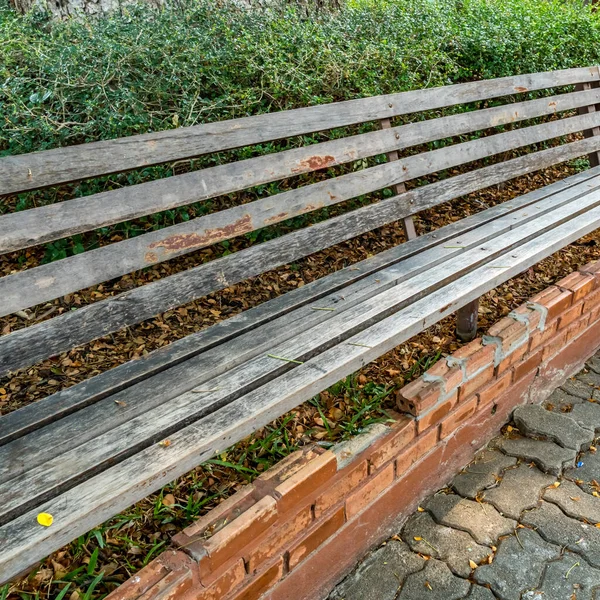 Old Wood park bench with green plants in the park