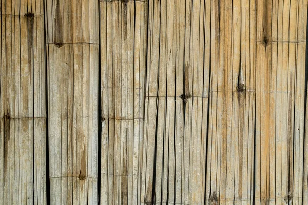 Wandtextur Aus Bambusrinde — Stockfoto
