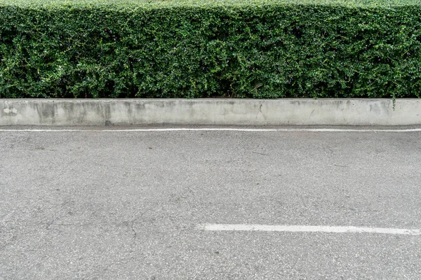 Cerca Sebe Verde Com Estrada Concreto — Fotografia de Stock