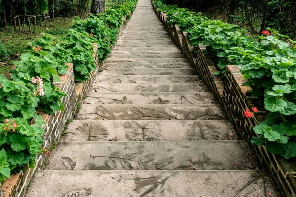 Scala Cemento Invecchiato Con Piante Verdi — Foto Stock