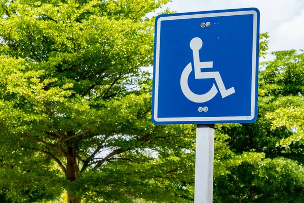 公園内の青の障害者標識 — ストック写真