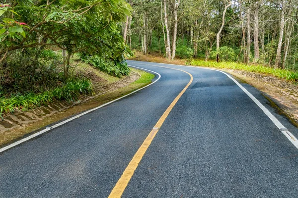 Strada Asfaltata Nel Parco — Foto Stock