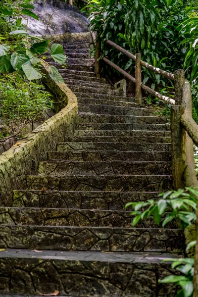 Scala Cemento Pietra Invecchiata Con Piante Verdi Nel Parco — Foto Stock