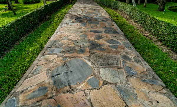Estrada Pedra Concreto Com Plantas Verdes Aparadas Parque — Fotografia de Stock