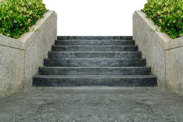 Perspective Blacck Concrete Staircase Green Plants Isolate White Background — 스톡 사진