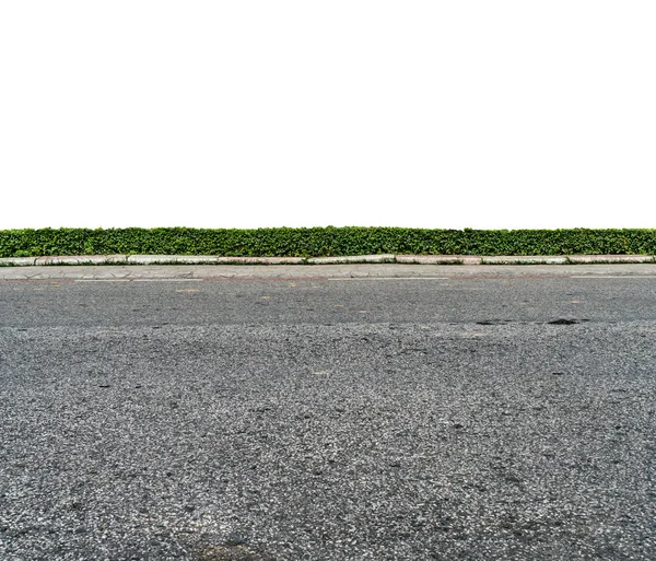 緑のヘッジフェンスとアスファルトの道路は白い背景に隔離 — ストック写真