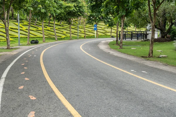 Strada Asfaltata Nel Parco — Foto Stock