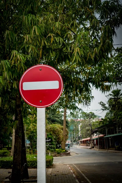 切勿以绿叶为背景进入交通标志 — 图库照片