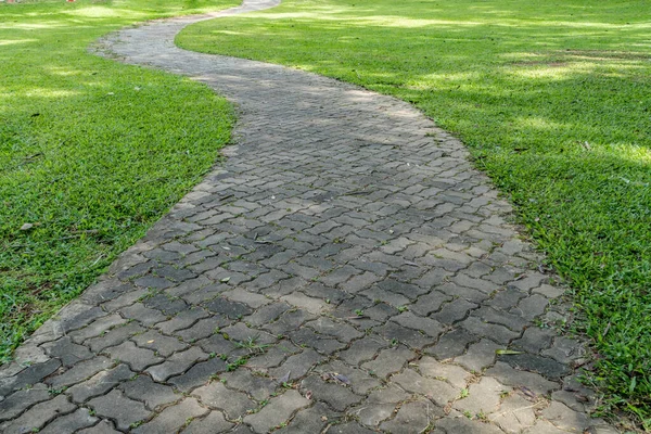 公園内の緑の芝生のコンクリート通路 — ストック写真