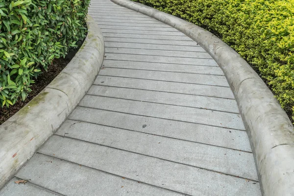 Curve concrete ramp for wheelchair with trimmed plants