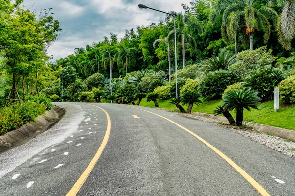 Bella Strada Asfaltata Con Alberi Verdi Nel Parco — Foto Stock