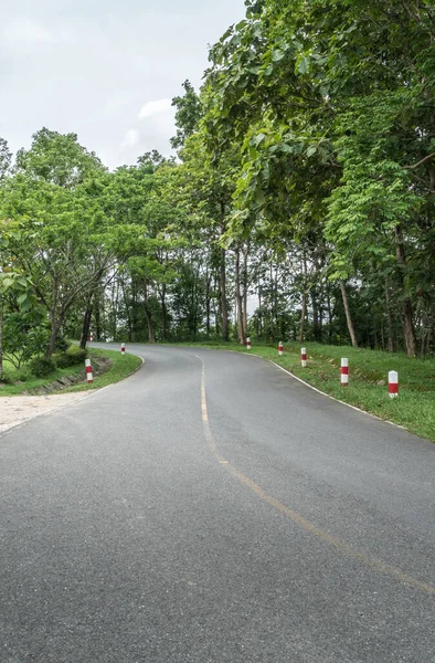 Asfalto Strada Campagna Sulla Collina — Foto Stock