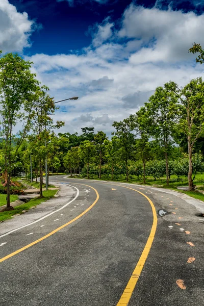 Bella Strada Asfaltata Con Alberi Verdi Nel Parco Nuvola Bianca — Foto Stock