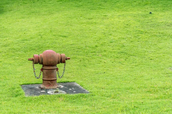 Alter Roter Feuerhydrant Auf Grünem Rasen — Stockfoto