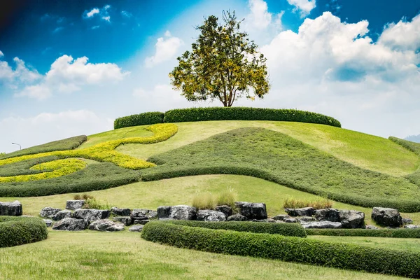 Parco Thailandia Con Nuvole Cielo Blu — Foto Stock