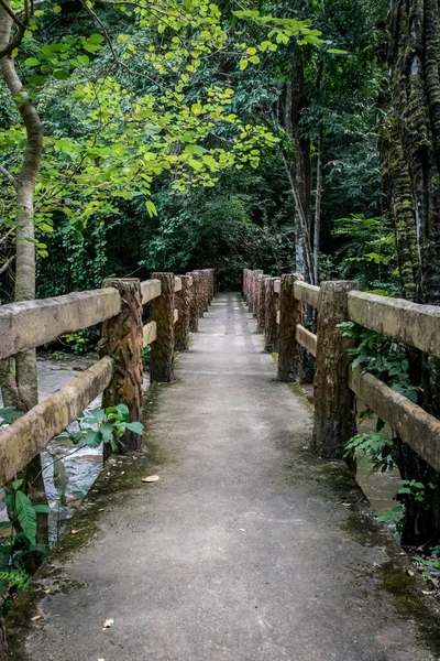 Passerelle Béton Sur Ruisseau Avec Forêt Verte — Photo