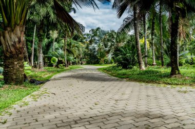 Parkta beton blok yolu