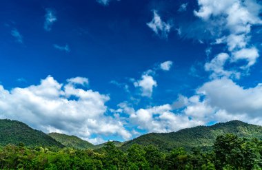 Mavi arka planda beyaz bulutlu dağ ve orman