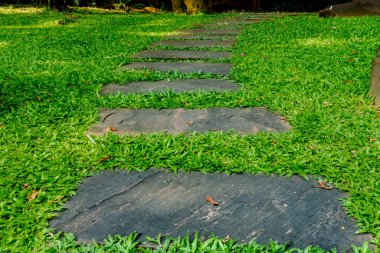 Parktaki gri taş patika.