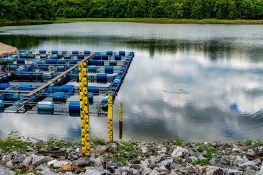 Gölde su seviyesi direği