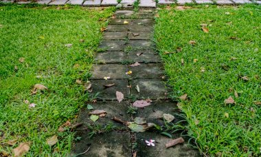 Parkta beton blok yolu