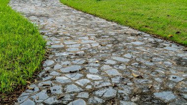 Parkta yeşil çimenler olan taş beton yol.