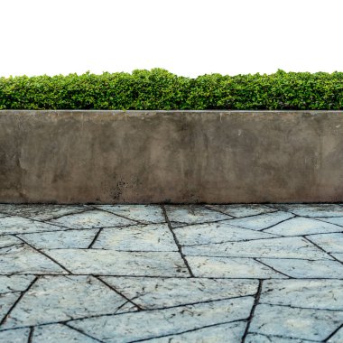 Beyaz zemin üzerinde beton blok zemin ile yeşil budanmış çalı