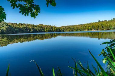 Mavi arka planda yeşil ormanlı göl