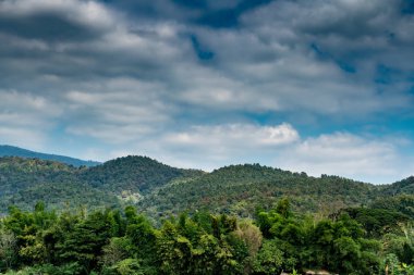 Bulutlu bir geçmişi olan dağ ve orman