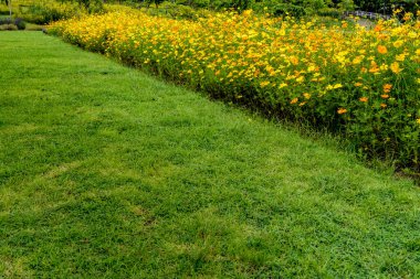 Parkta yeşil çimenler olan çiçek tarhı