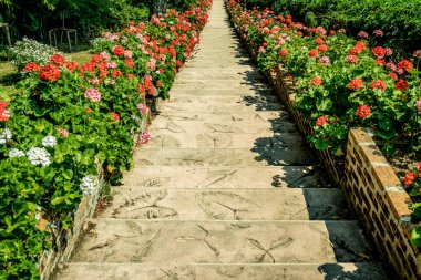 Çiçeklerle dolu yaşlandırılmış beton merdiven