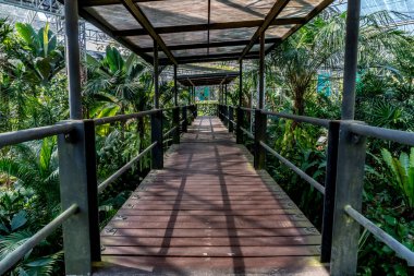 Parkta demir parmaklıklar olan tahta patika köprü.