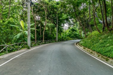 Tayland kırsalında yeşil tropikal ormanlı asfalt yol