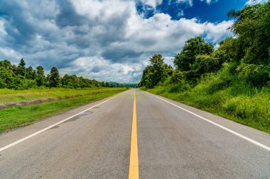 Tayland kırsalında yeşil tropikal ormanlı asfalt yol