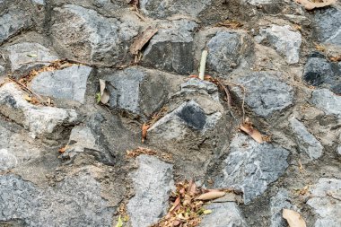 Taş duvarın bir parçası