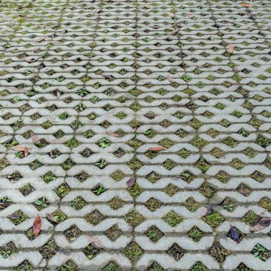 Yeşil çimenli beton blok zemin manzarası