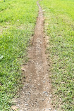 Yeşil çimenlikte yol