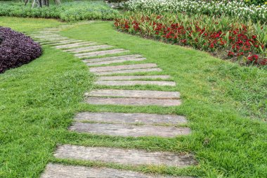 Parkta beton yol