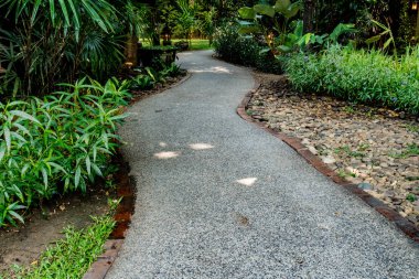 Parkta yeşil çimenler olan beton patika.