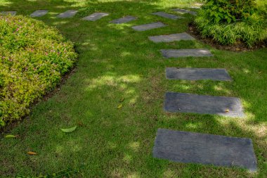 Parktaki beton yolu kıvrımlı