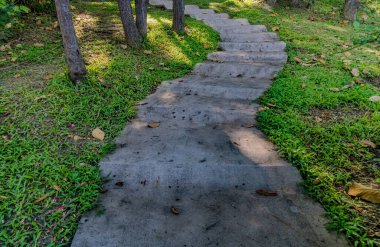 Parkta yeşil çimenli, kavisli beton merdiven