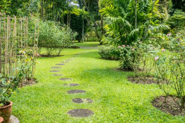 Parktaki yeşil çimlerin üzerindeki son patika.