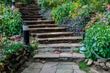 Renkli çiçekler ve yeşil bitkilerle yaşlanmış beton merdivenler.